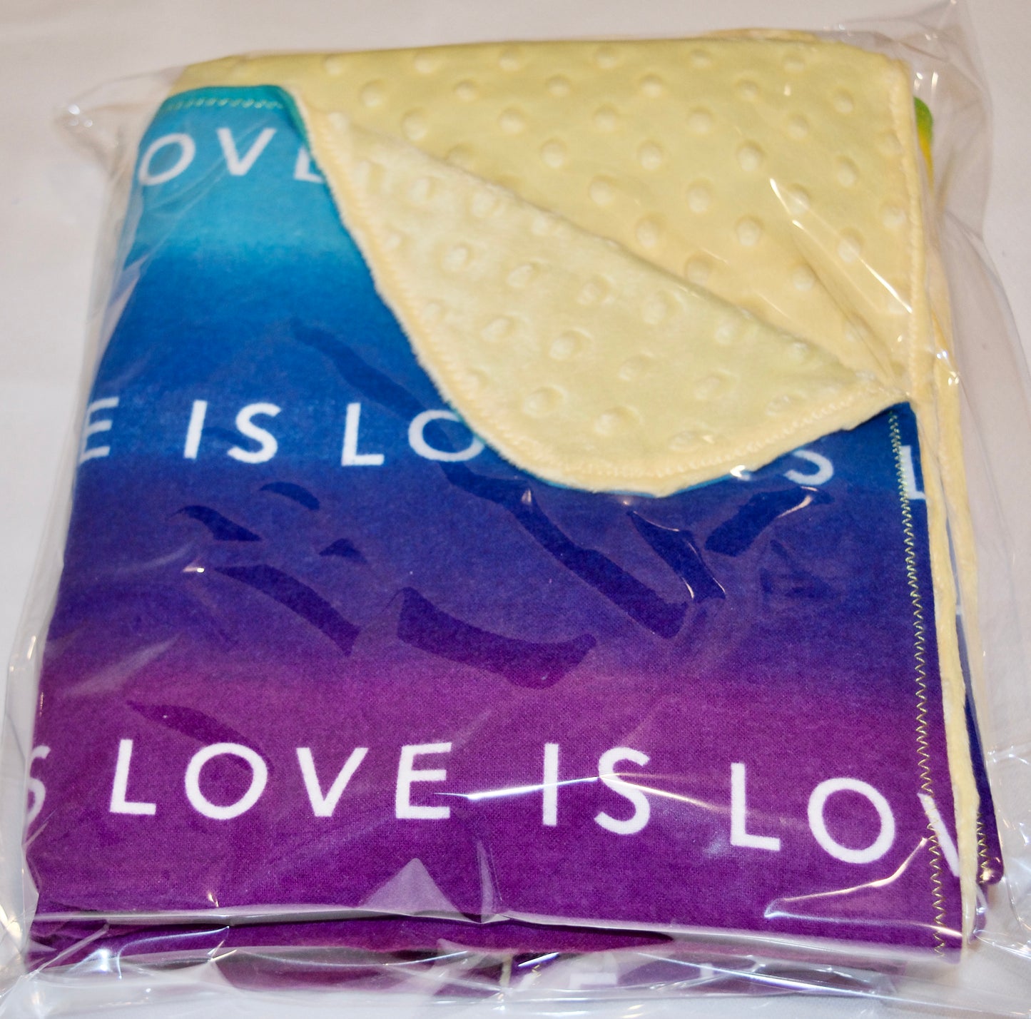 šBeautiful Rainbow Minky and Flannel Blanket