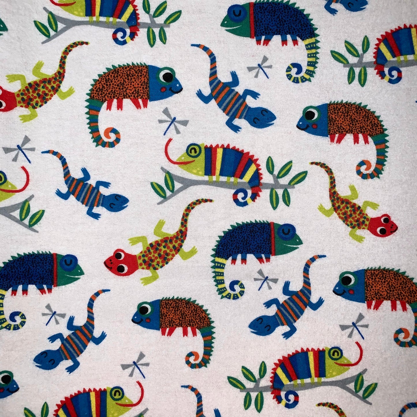 🦎Gecko print Minky and Flannel Crib blanket