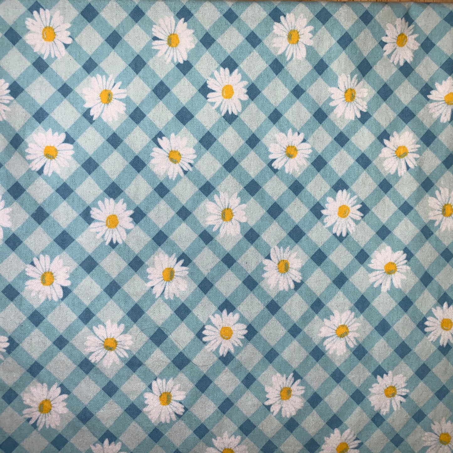 đź’™Pretty blue&white daisy print Minky and Flannel Baby Blanket