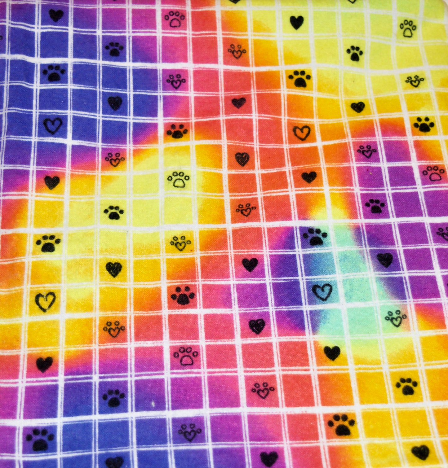 🐾🌈🖤Colorful Minky and Flannel Blanket