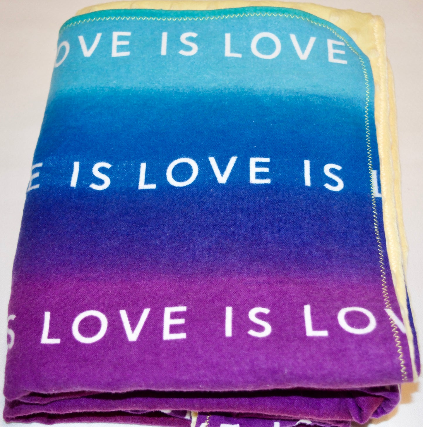 🌈Beautiful Rainbow Minky and Flannel Blanket