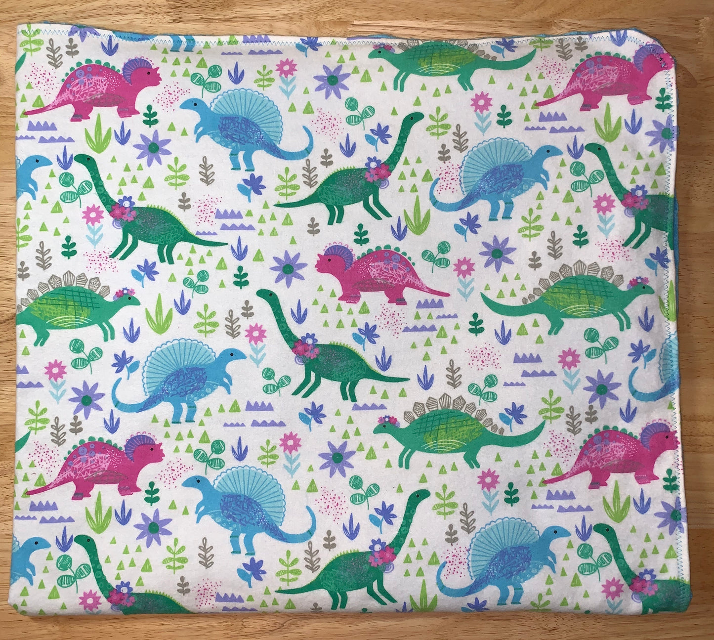 🦕🦖Dinosaur print Minky and Flannel Crib blanket