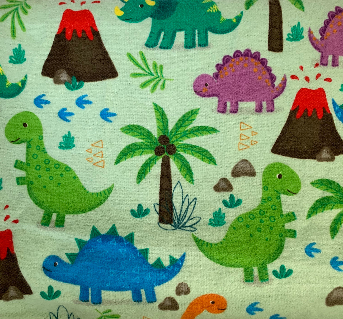 🦖🦕Dinosaur print Minky and Flannel Crib Blanket