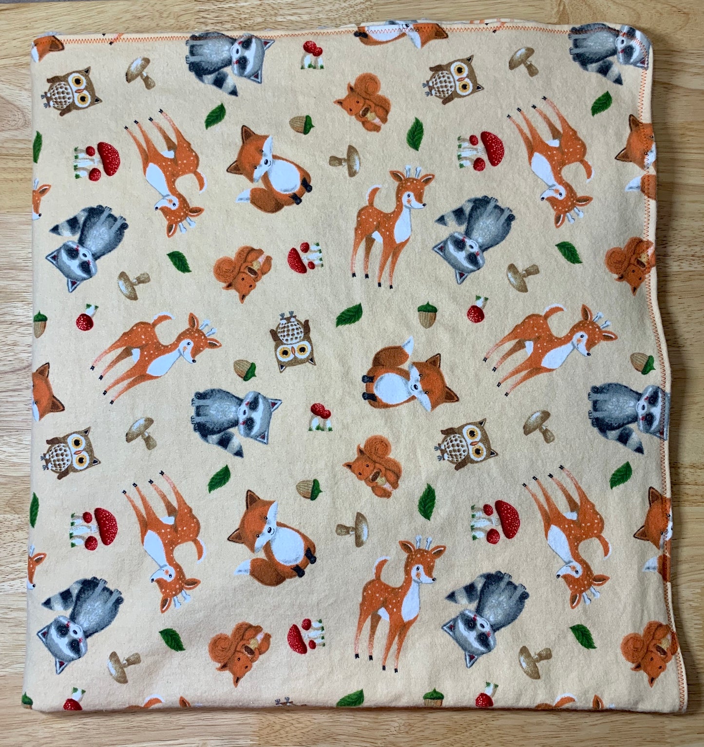 🐿🌿🦝Adorable Forest Animal Minky and Flannel baby blanket