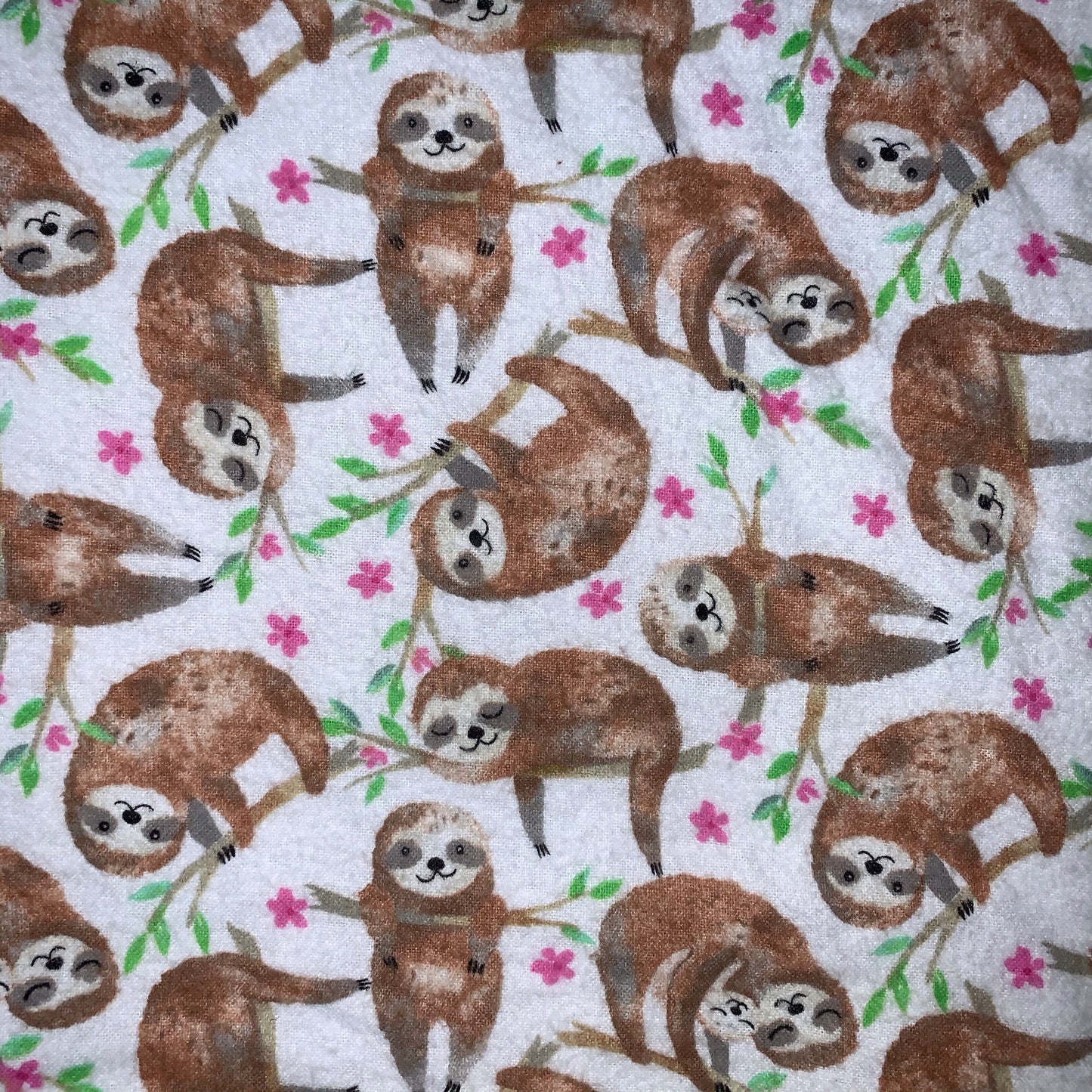 🦥🌷🌱Sloth print Minky and Flannel baby blanket