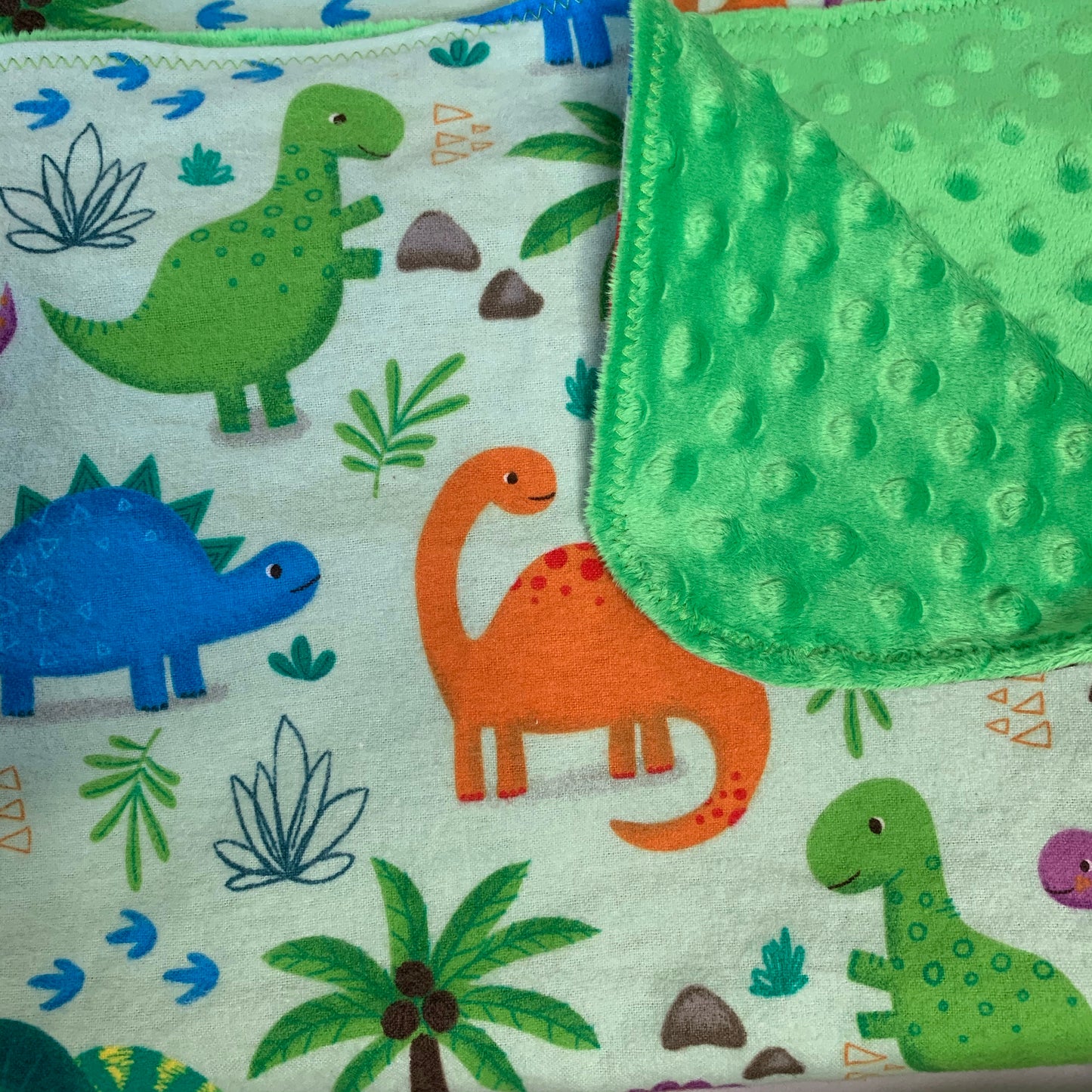 🦖🦕Dinosaur print Minky and Flannel Crib Blanket