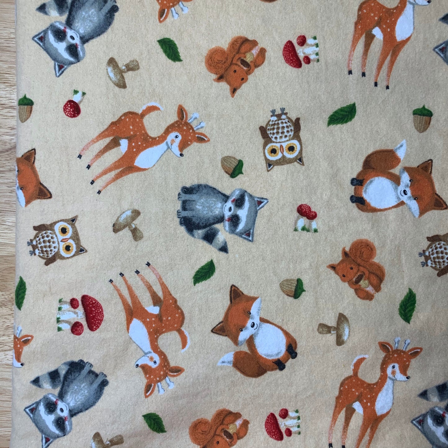 🐿🌿🦝Adorable Forest Animal Minky and Flannel baby blanket