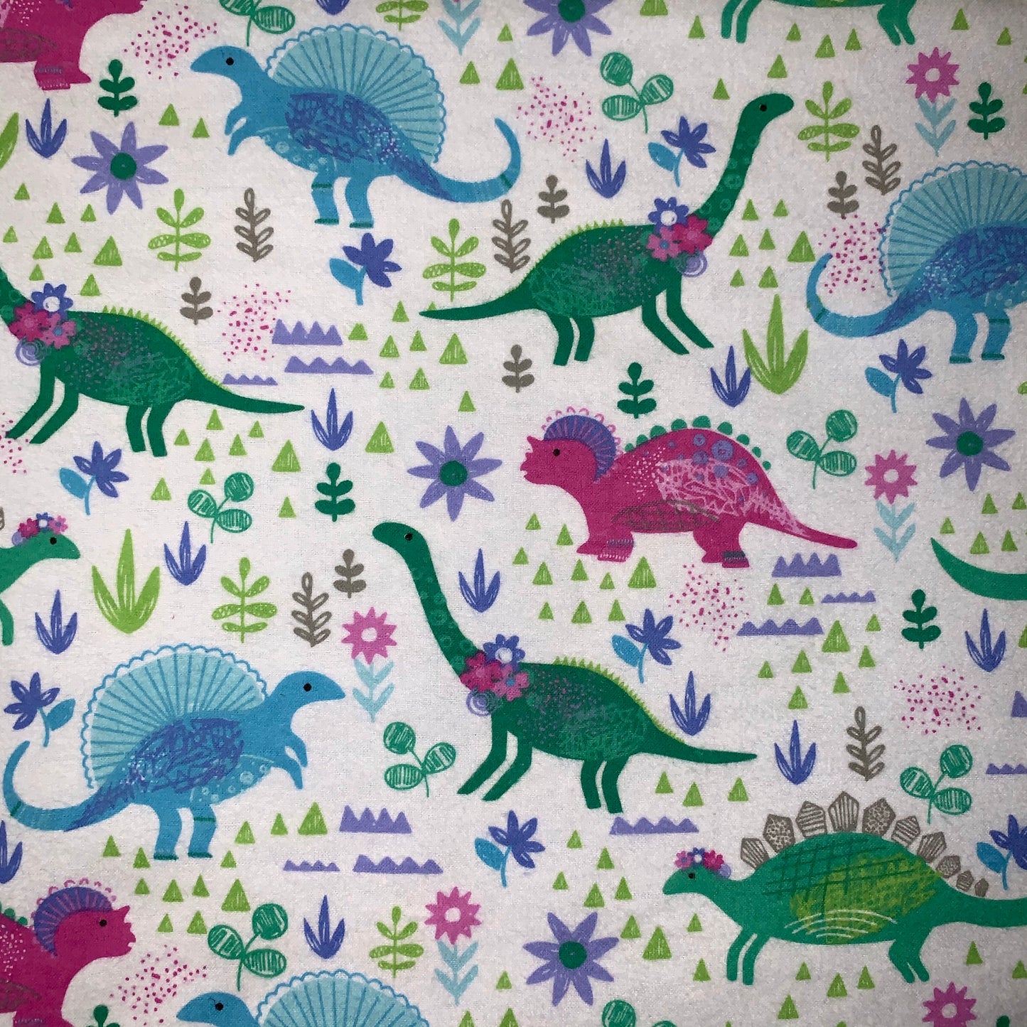 🦕🦖Dinosaur print Minky and Flannel Crib blanket